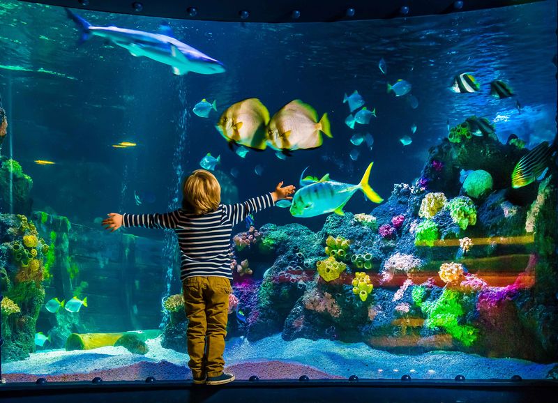 Sea Life Sauerland