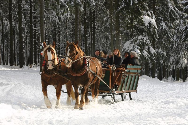 Pferdeschlittenfahrt im Winter
