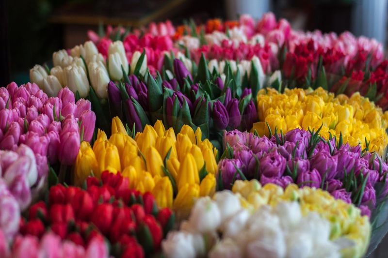 Blumen