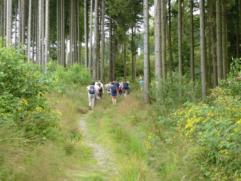Glockenpfad zum Rothaarsteig