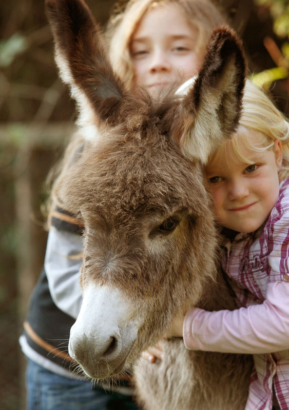 Im Wildpark Schloss Ortenburg