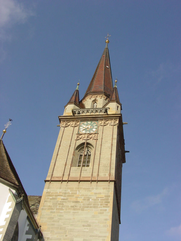 Single frauen radolfzell