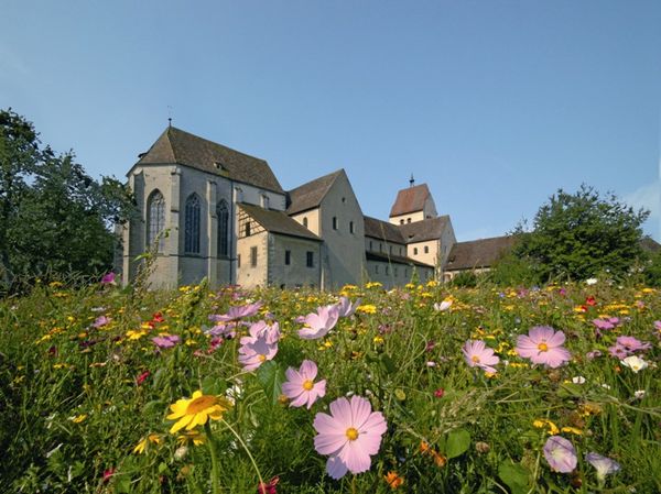 Pool Und Schwimmbecken Fr Den Garten Gnstig Bei Zgonc