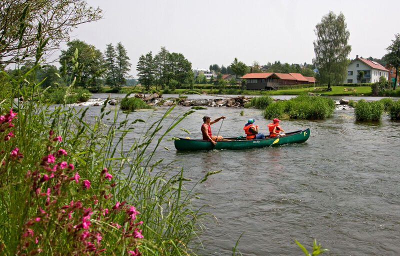 Kanuten bei Wiesing im Stadtgebiet von Roding