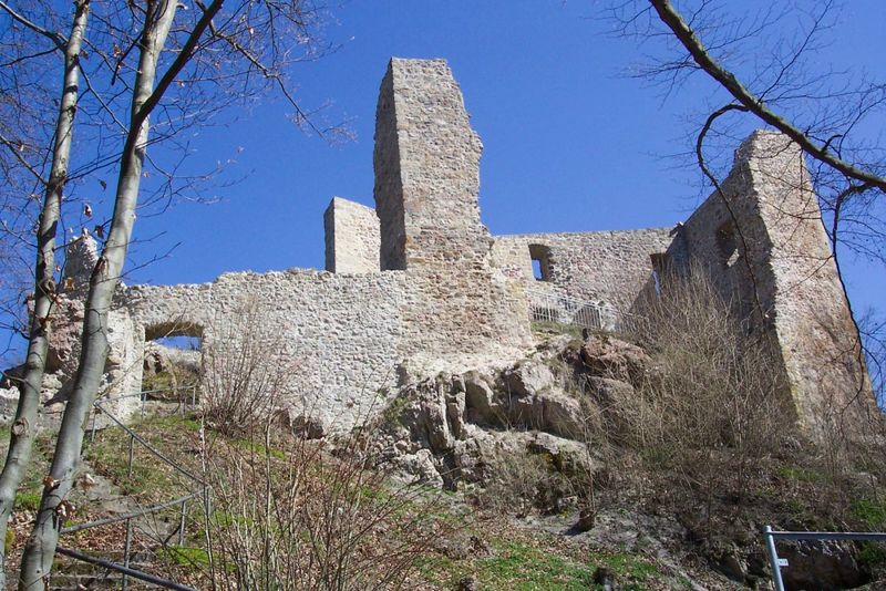 Blick auf die Burgruine Schwärzenburg bei Roding im Naturpark Oberer Bayerischer Wald