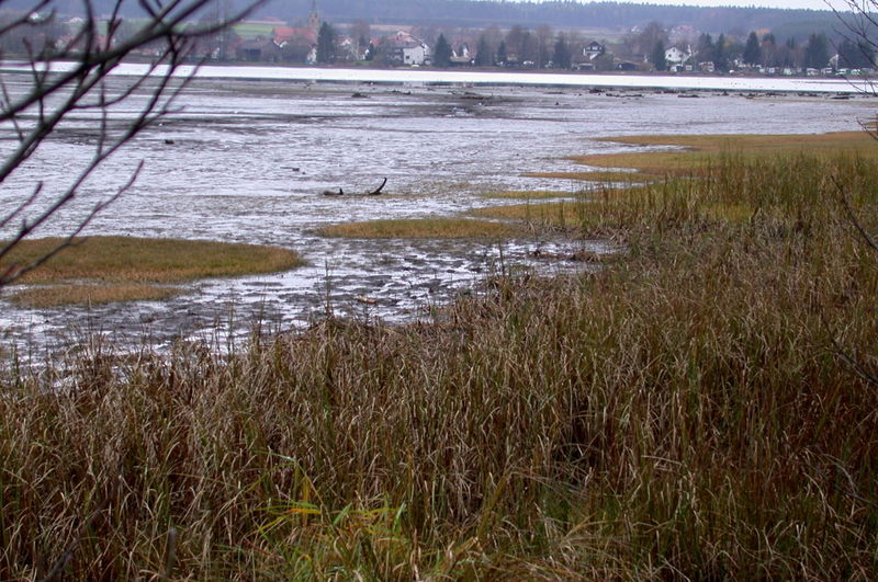 Naturschutzgebiet Neubäuer See bei Roding im Naturpark Oberer Bayerischer Wald