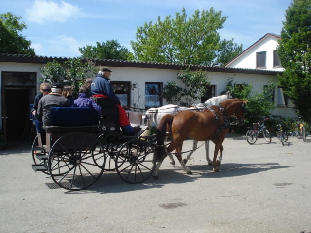 Ferienhof Schepper