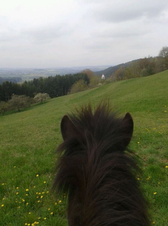 Ausritt auf Wiesenwegen