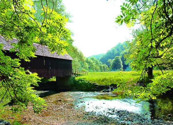 Naturschutzgebiet Neckarburg
