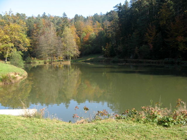 Angelmöglichkeit am Saldenburger See im Ilztal und Dreiburgenland