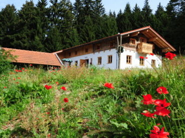 Blick auf die Berghütte Prellerhaus bei Sankt Englmar