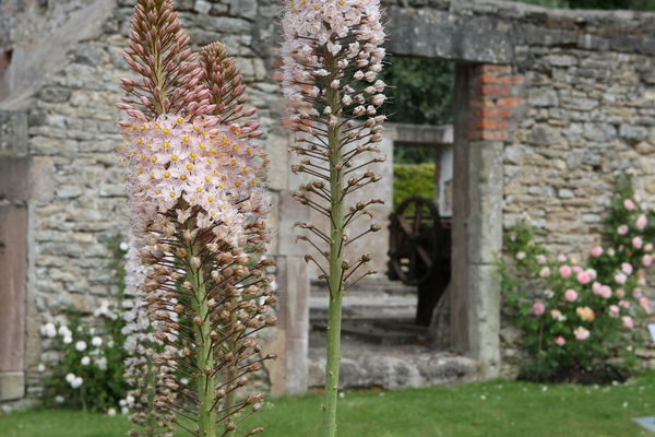 Garten Der Fayencen Garten Ohne Grenzen