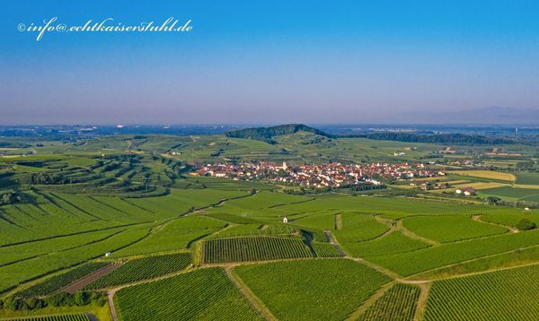 Sasbach a.K. Schwarzwald Tourismus GmbH