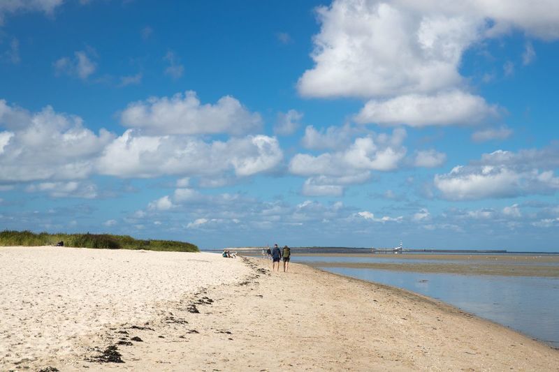 Hunde Am Strand Von Schillig Wangerland
