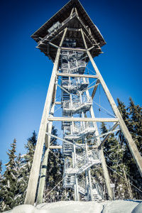 Riesenbühlturm