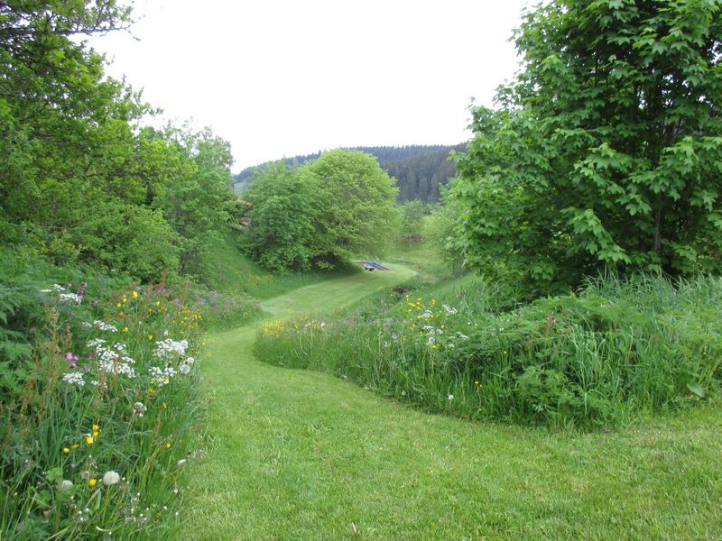 Weg zur Wassertretstelle Fischbach