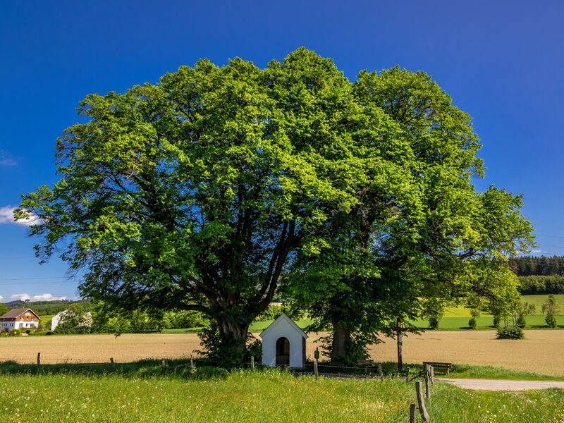 14 Nothelfer Kapelle bei Schmallenberg