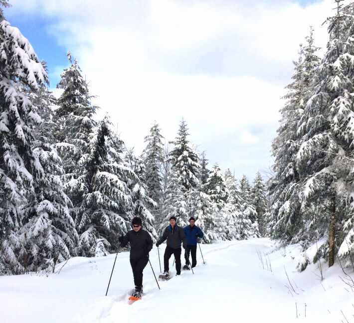 Schneeschuhwandern in Schöfweg in der Region Sonnenwald im Bayerischen Wald