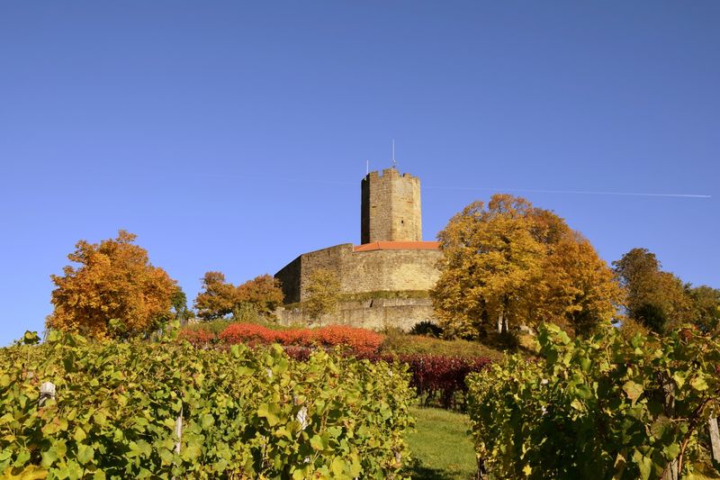 Burg Steinsberg Urlaubsland BadenWürttemberg