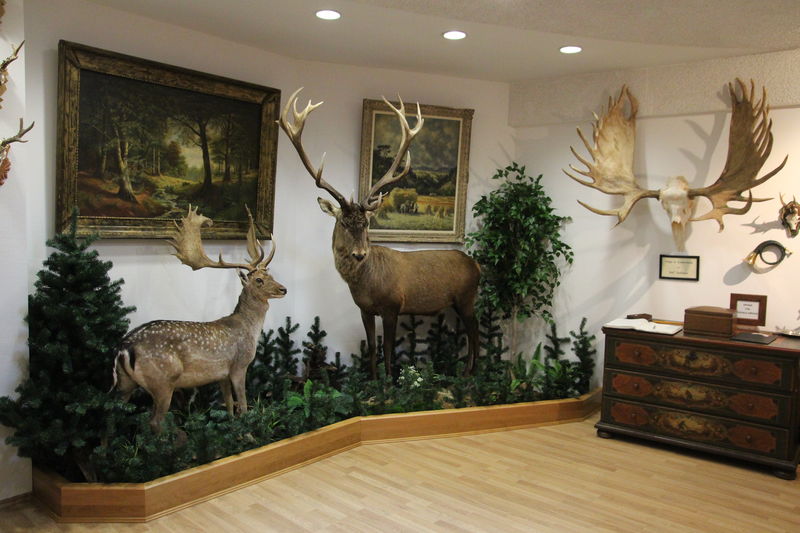 Haus Der Begegnung Jagd Natur Kunst Grimmheimat Nordhessen