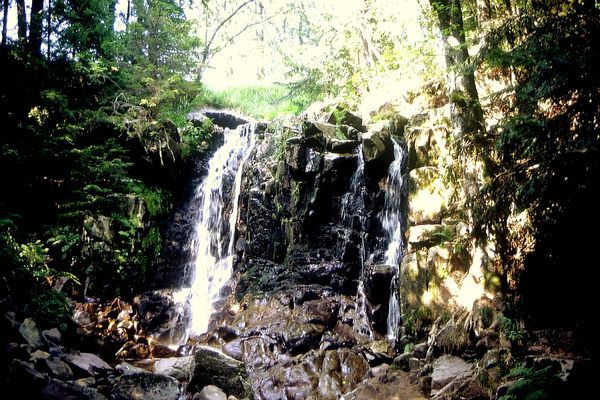 Windberg Wasserfall Hochschwarzwald Tourismus GmbH