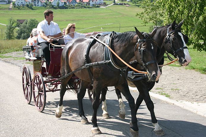 Kutschfahrten Fahrstall Schmid