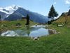 Idyllischer Bergsee Jungen Alp im Sommer