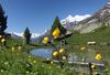 Idyllischer Bergsee Jungen Alp