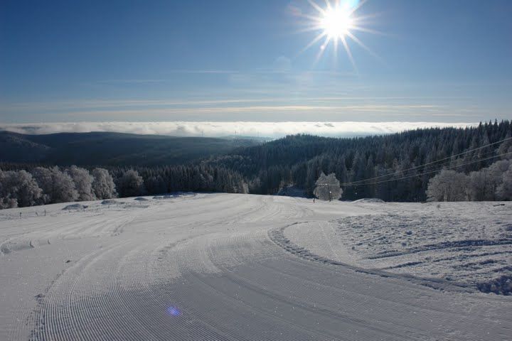 Kandel Natur im Winter