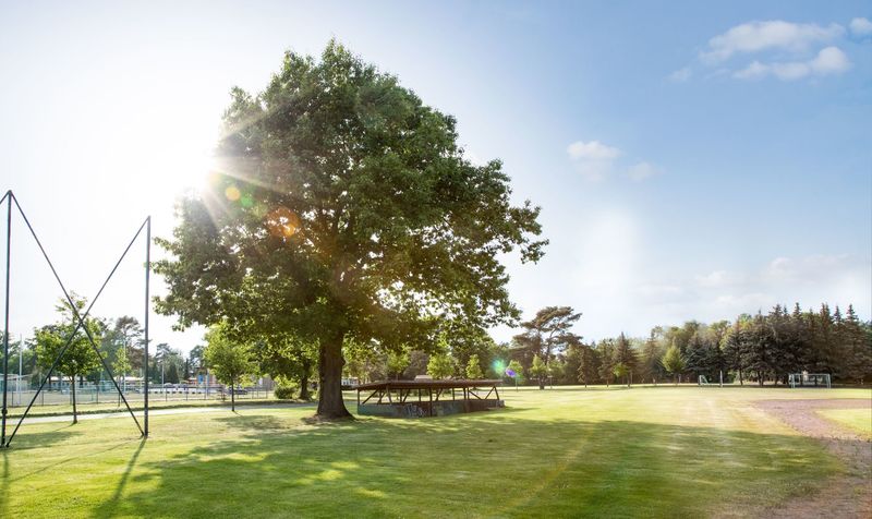 Sport- und Erholungspark, Foto: Florian Küttler