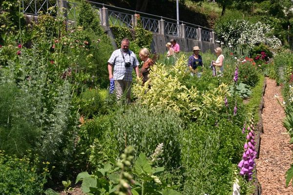 Schür am Stadtgraben und Schürgarten | Schwarzwald Tourismus GmbH