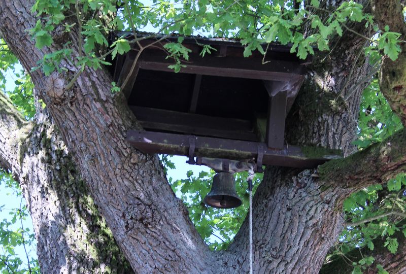 Glocke in der alten Eiche in Linneperhütte