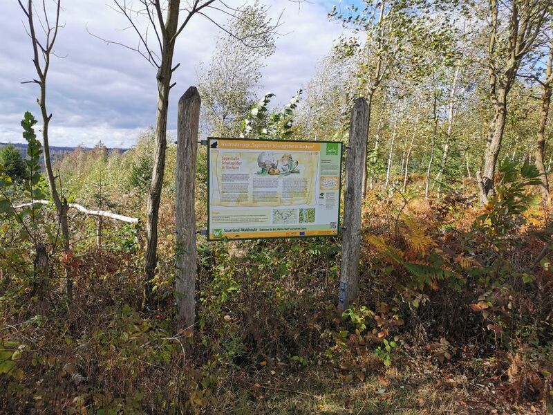 Sagenstation