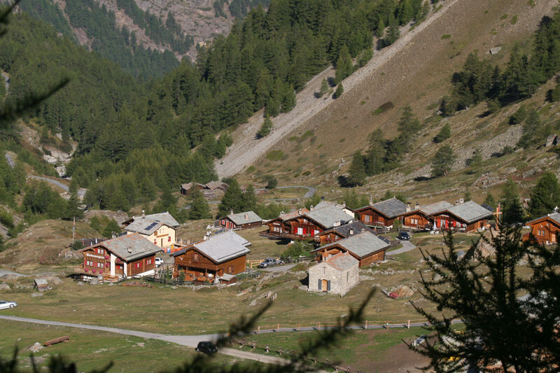 Täschalp is a green valley with cows, Alpine farming and a cheese dairy.