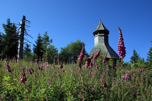 Der Hochkopf Schwarzwald Tourismus GmbH