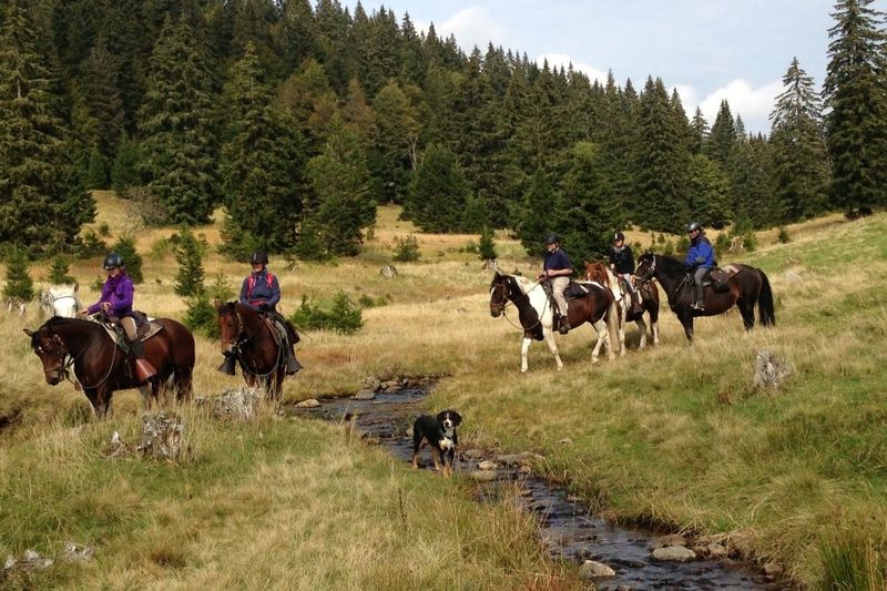 Wanderreiten im Schwarzwald - ein einzigartiges Ferien-Erlebnis