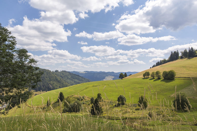 Blick aufs Hasenhorn
