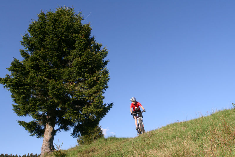 Mountainbiking