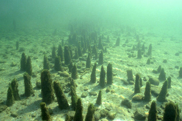 UNESCO-Welterbestätte Unteruhldingen-Stollenwiesen