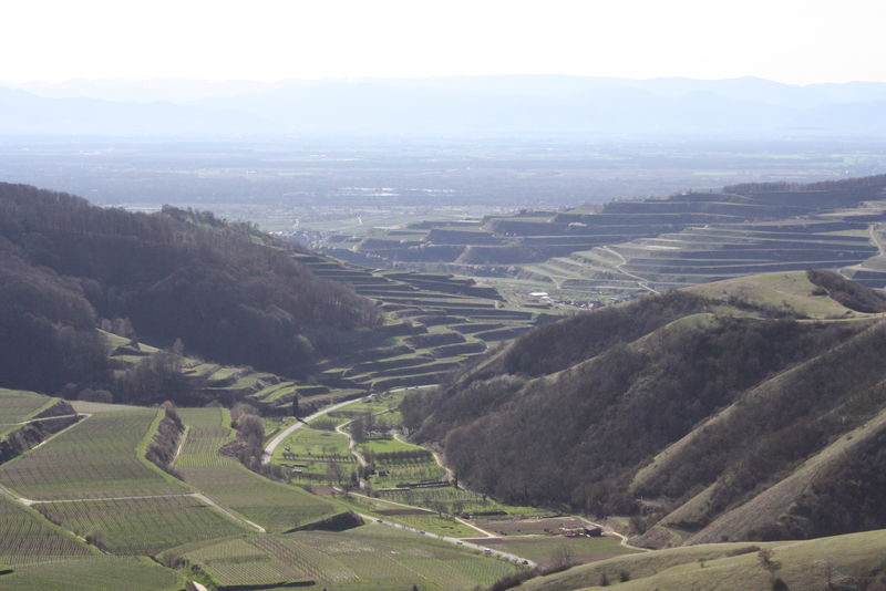Segway Tour Kaiserstuhl Tour 2 Sud Urlaubsland Baden Wurttemberg