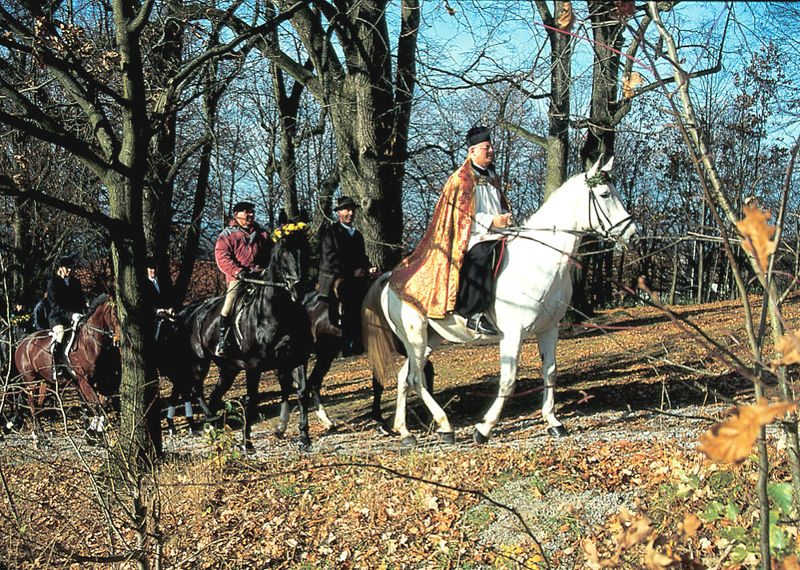 Brauchtum beim Waldkirchner Leonhardiritt im Bayerischen Wald
