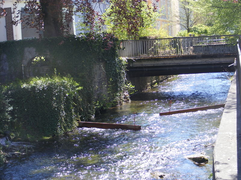 Bullerteich Warstein Sauerland
