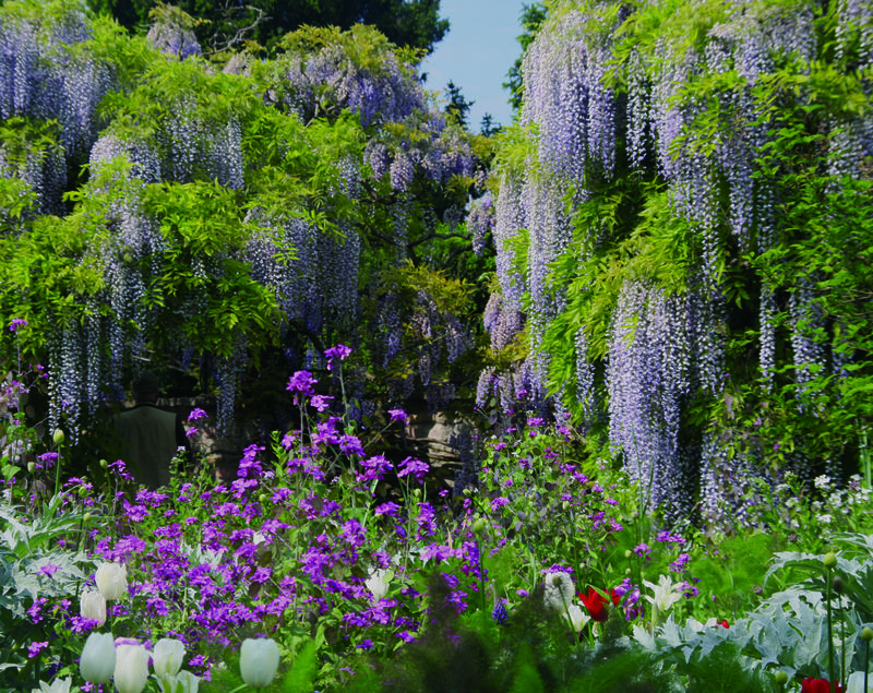 Schau Und Sichtungsgarten Hermannshof Urlaubsland Baden Wurttemberg