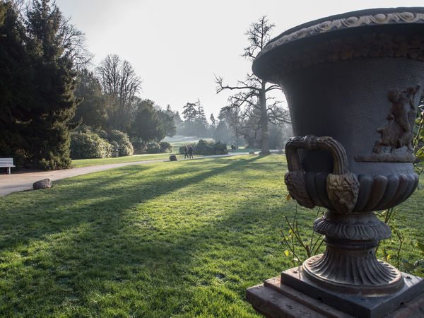 Weinheimer Schloss mit Schlosspark | Schwarzwald Tourismus ...