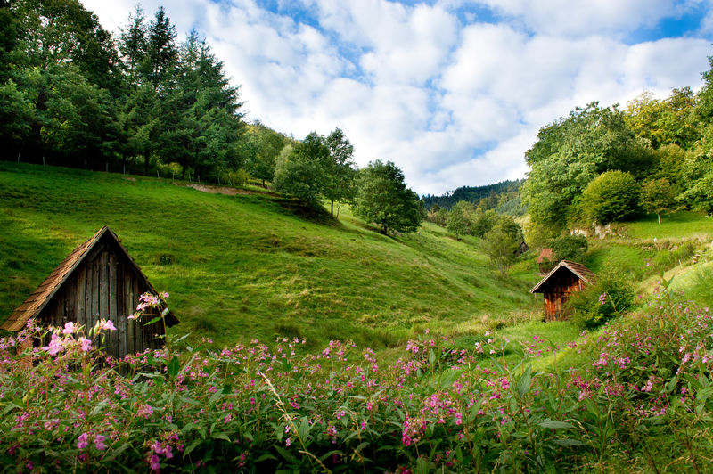 Heuhütten im Latschigtal bei Weisenbach