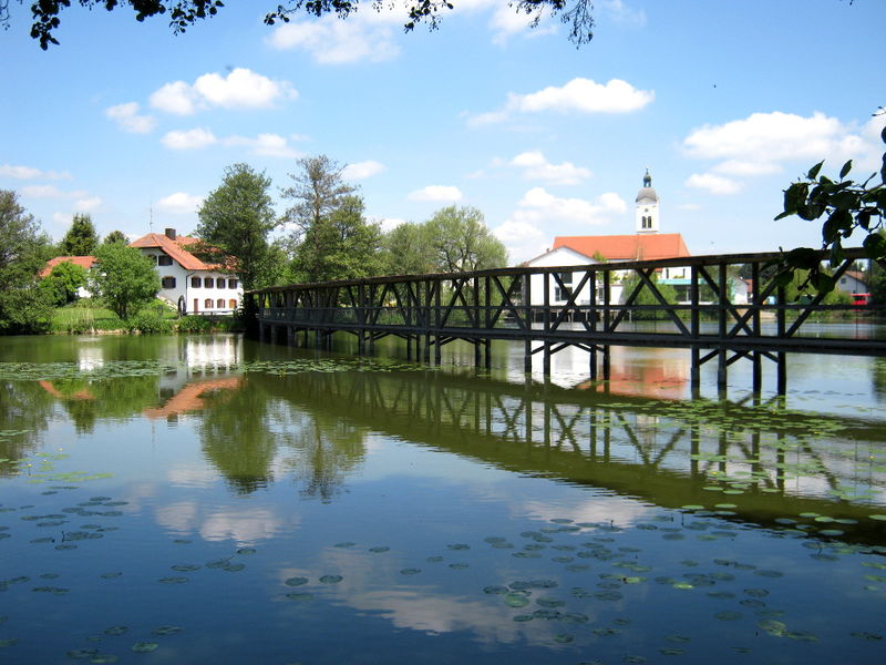 Blick auf den Naturbeobachtungssteg über den Beckenweiher in Wiesenfelden