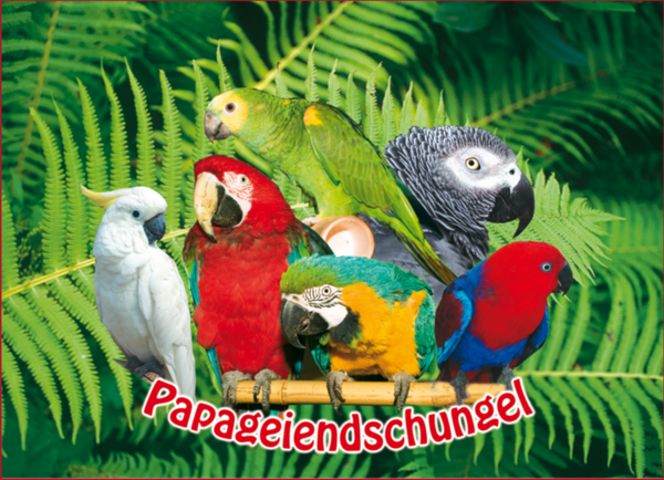 Ausflugsziele Und Sehenswrdigkeiten Am Bodensee