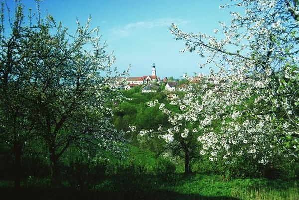Das Klosterdorf Windberg hat viel an mittelalterlicher Bausubstanz bewahrt, die das Ensemble um die romanische Klosterbasilika und die Abtei einmalig abrundet.