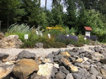 Kräuter- und Insektengarten Winterlingen