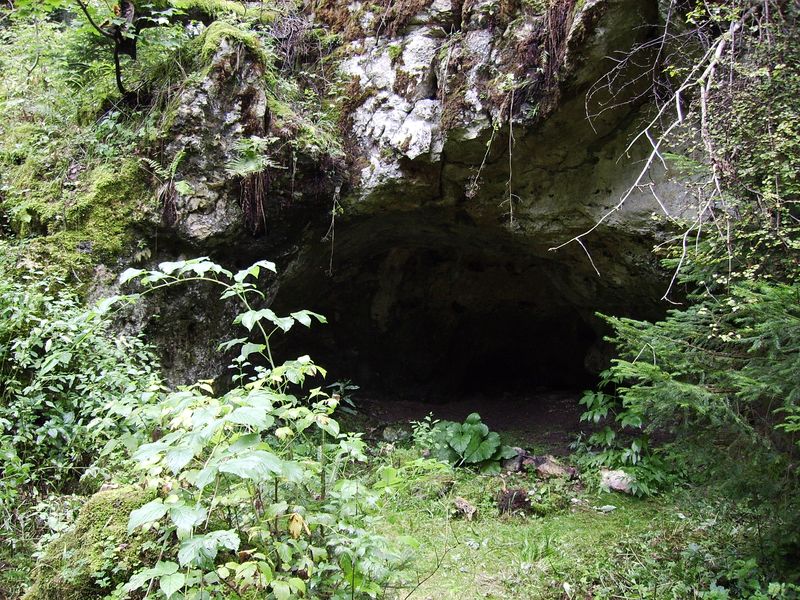 Kühstellenhöhlen Winterlingen